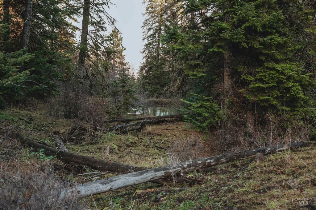 TBD Boles Road, CottonWood, ID 83522 photo 19