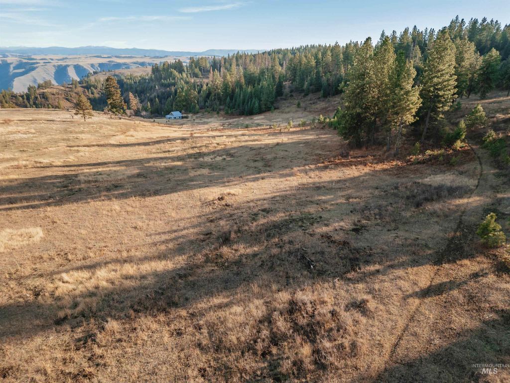 TBD Boles Road, CottonWood, ID 83522 photo 22