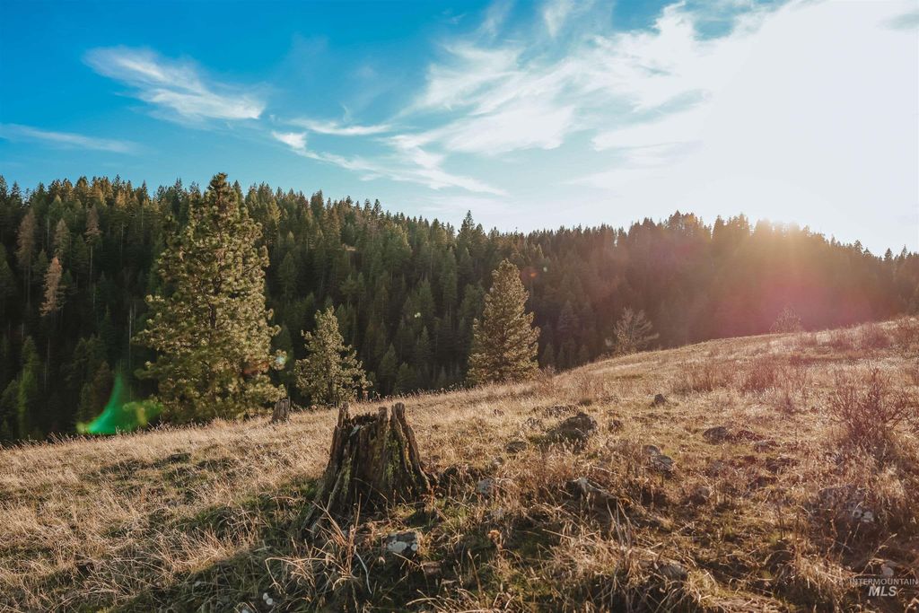 TBD Boles Road, CottonWood, ID 83522 photo 27