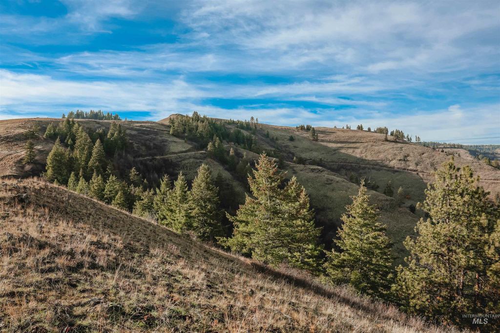 TBD Boles Road, CottonWood, ID 83522 photo 31