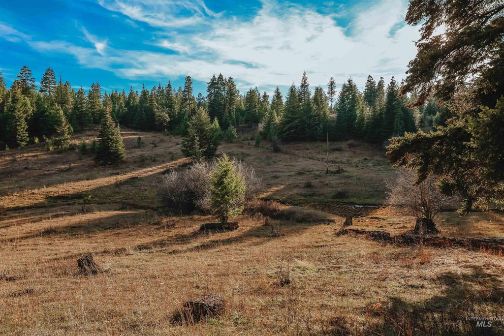 TBD Boles Road, CottonWood, ID 83522 photo 34