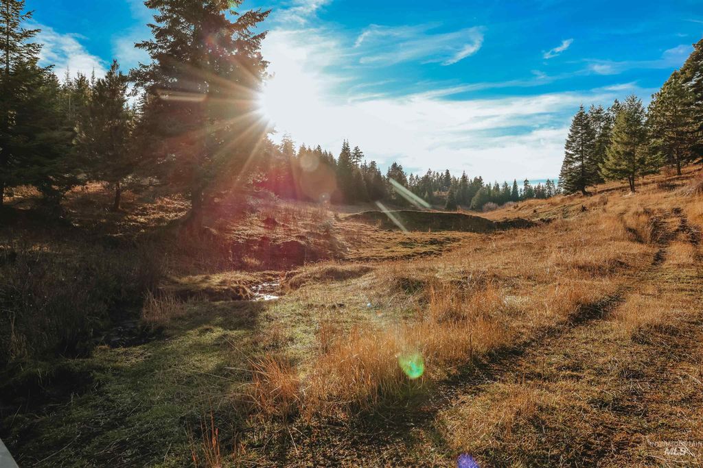 TBD Boles Road, CottonWood, ID 83522 photo 36