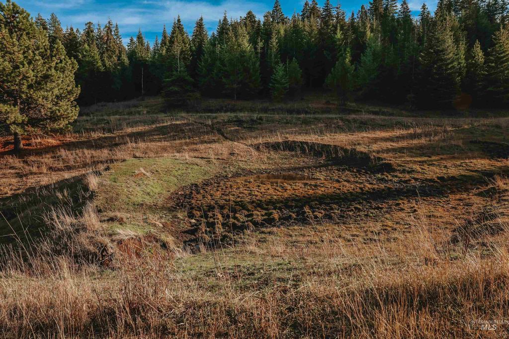 TBD Boles Road, CottonWood, ID 83522 photo 37