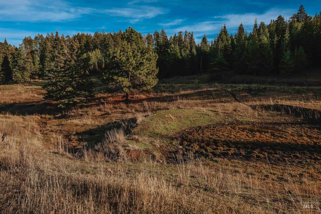 TBD Boles Road, CottonWood, ID 83522 photo 38