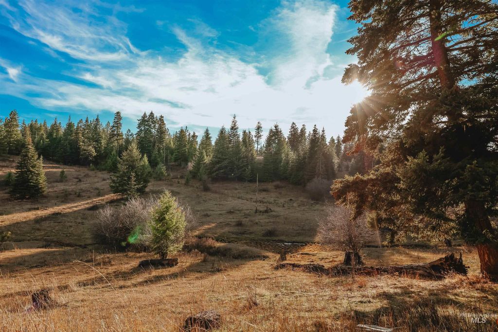 TBD Boles Road, CottonWood, ID 83522 photo 4