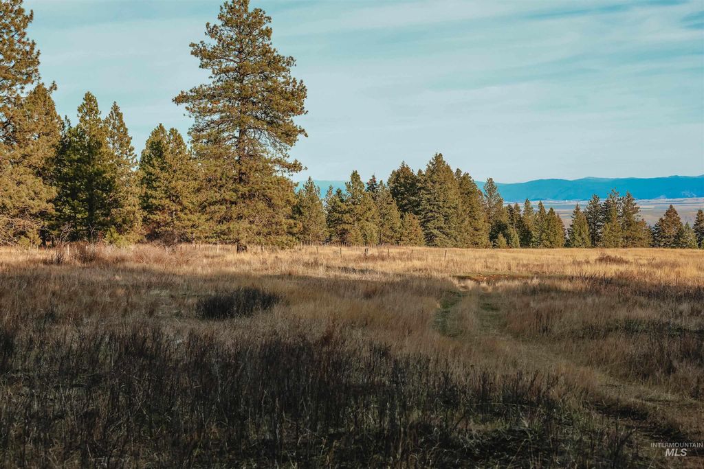 TBD Boles Road, CottonWood, ID 83522 photo 40