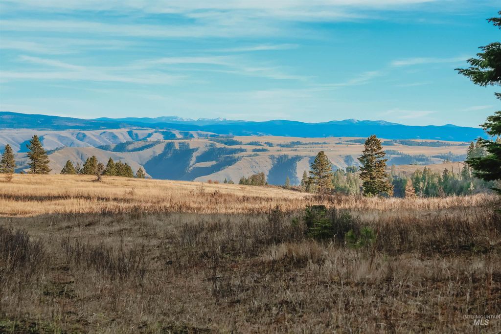 TBD Boles Road, CottonWood, ID 83522 photo 41