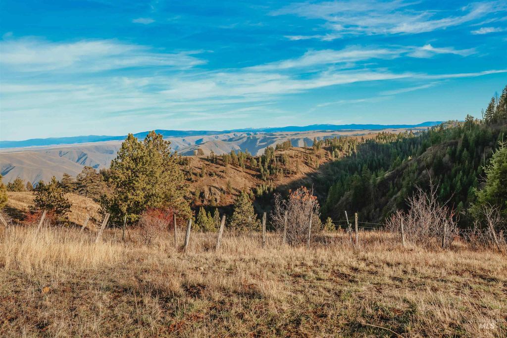 TBD Boles Road, CottonWood, ID 83522 photo 42