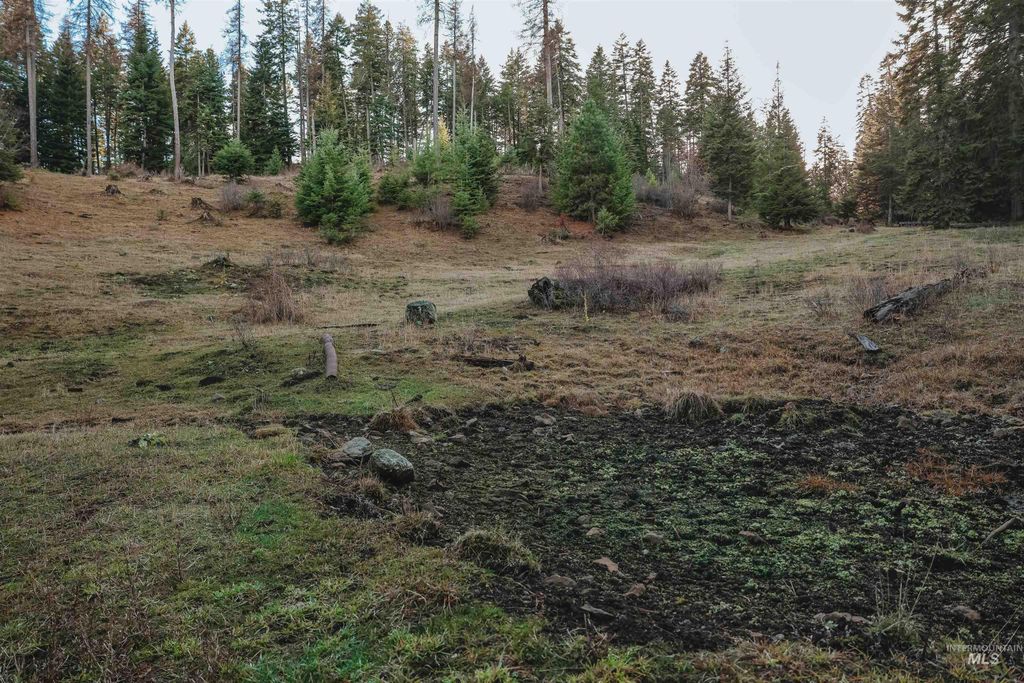 TBD Boles Road, CottonWood, ID 83522 photo 44