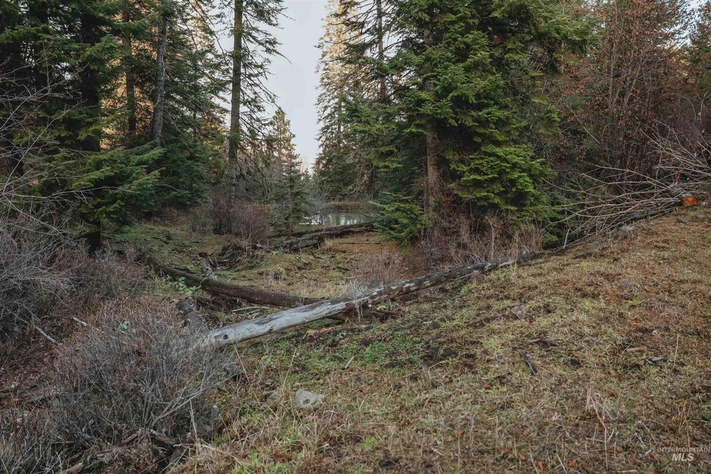 TBD Boles Road, CottonWood, ID 83522 photo 45