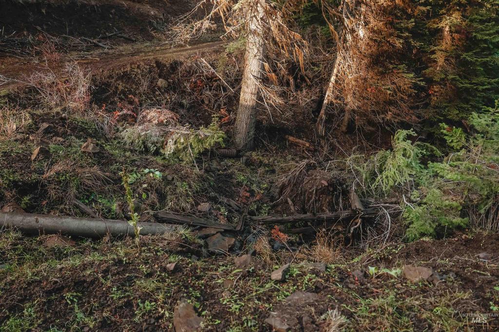 TBD Boles Road, CottonWood, ID 83522 photo 48