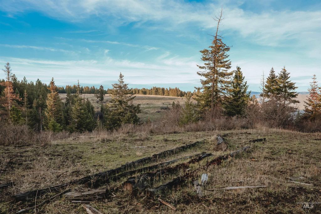 TBD Boles Road, CottonWood, ID 83522 photo 49