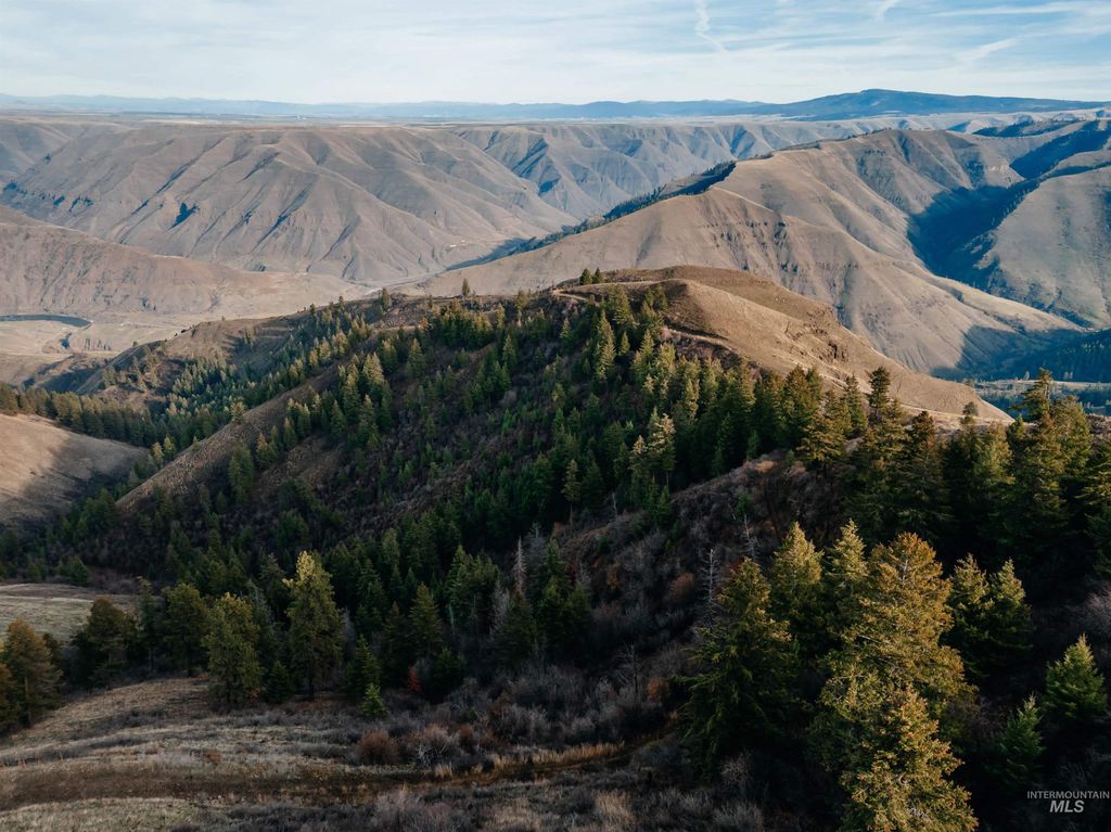 TBD Boles Road, CottonWood, ID 83522 photo 5