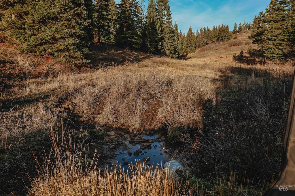 TBD Boles Road, CottonWood, ID 83522 photo 8