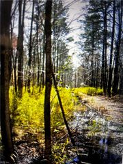 1410 Trinkle ST, Chesapeake, VA 23322