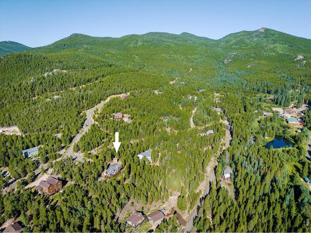 10212 Dowdle Dr, Golden, CO 80403