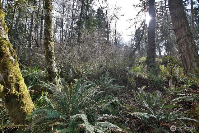 0 XXX Scatchet Head Road, Clinton, WA 98260