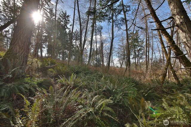 0 XXX Scatchet Head Road, Clinton, WA 98260