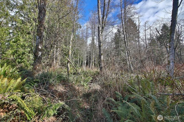 0 XXX Scatchet Head Road, Clinton, WA 98260