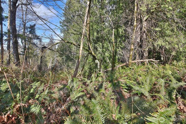 0 XXX Scatchet Head Road, Clinton, WA 98260