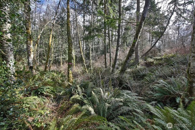 0 XXX Scatchet Head Road, Clinton, WA 98260