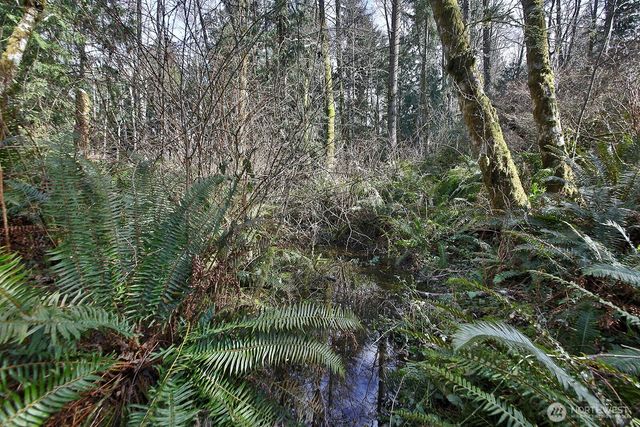 0 XXX Scatchet Head Road, Clinton, WA 98260