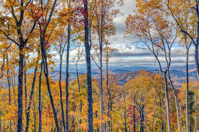 18 Wawayanda Drive, Mineral Bluff, GA 30559