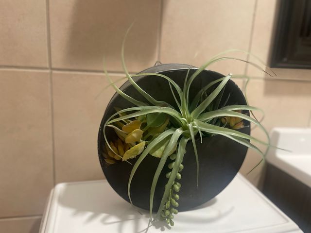 5133 W Wrightwood Avenue 1, Chicago, IL 60639