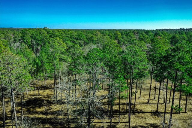 97 Utley Road, Huntsville, TX 77320