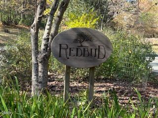 210 Anolis Lane, Pittsboro, NC 27312