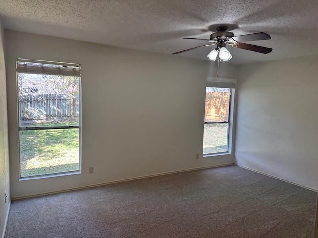 331 Fantail LOOP B, Austin, TX 78734