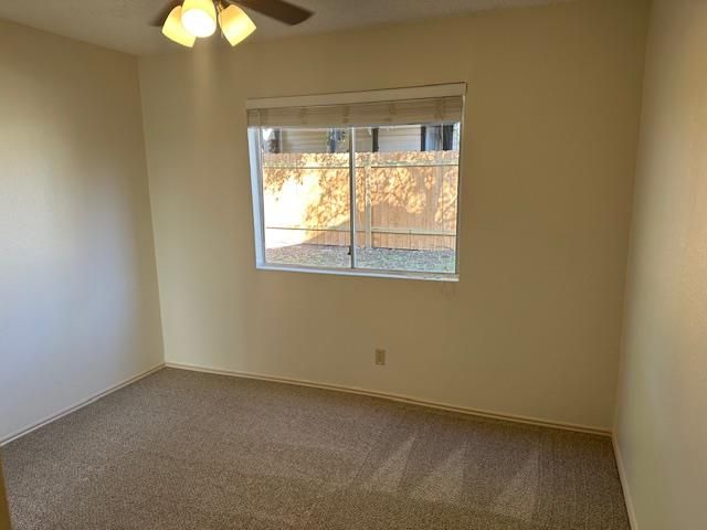 331 Fantail LOOP B, Austin, TX 78734