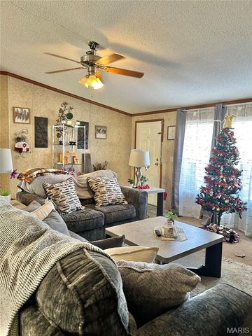 172 Cherryville Road, Salem, MO 65560