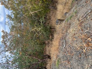 NW Woodson Drive r311467, Grants Pass, OR 97526