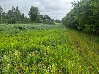 5913 Stuckey Road, Creston, OH 44217