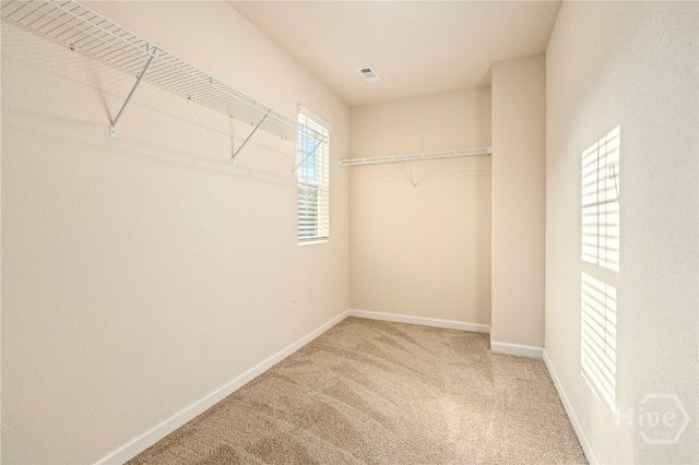 372 Morning Drive, Athens, GA 30606