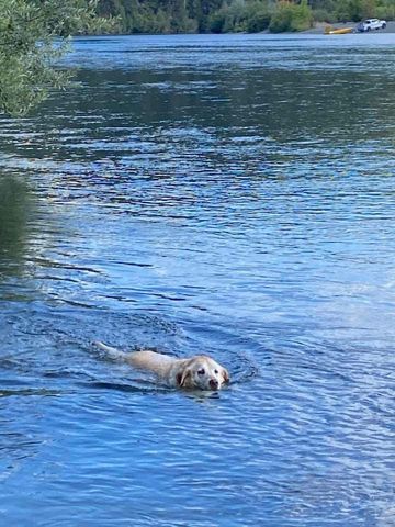 916 Ferry Road, Grants Pass, OR 97526