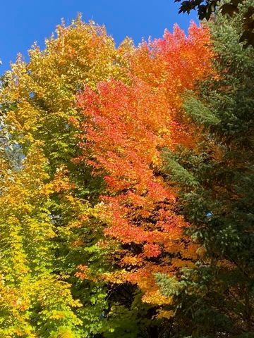 916 Ferry Road, Grants Pass, OR 97526