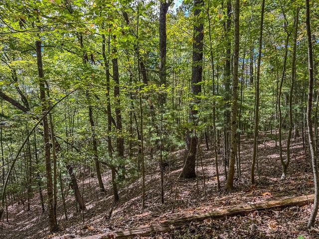 0 Wolf Print, Murphy, NC 28906