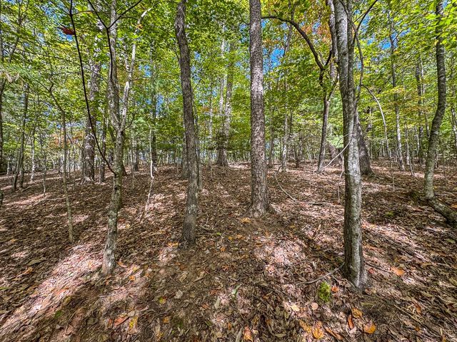 0 Wolf Print, Murphy, NC 28906