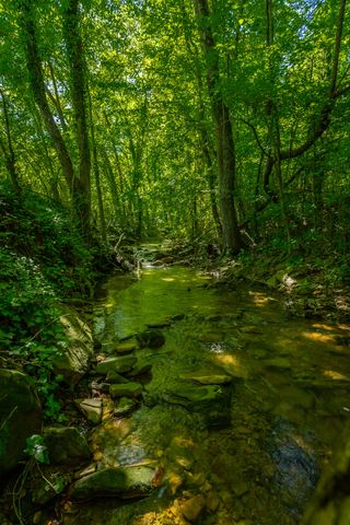 117 Westbrook Avenue, Soddy Daisy, TN 37379