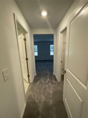 10114 HONEY HAMMOCK WAY, San Antonio, FL 33576