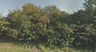 CRIMSONGLORY ROAD, North Port, FL 34288