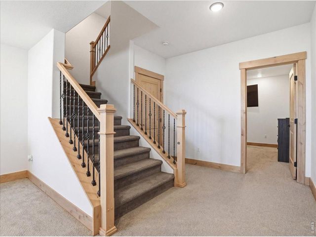 1699 Corby Dr, Windsor, CO 80550