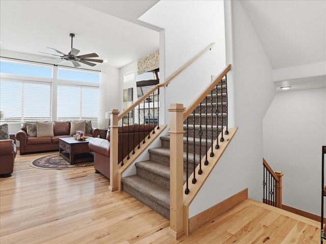 1699 Corby Dr, Windsor, CO 80550