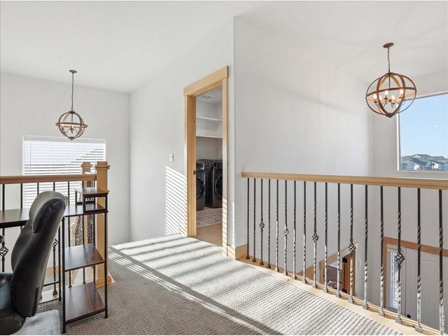 1699 Corby Dr, Windsor, CO 80550