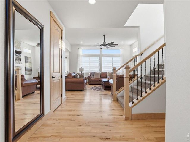 1699 Corby Dr, Windsor, CO 80550