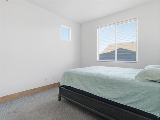 1699 Corby Dr, Windsor, CO 80550