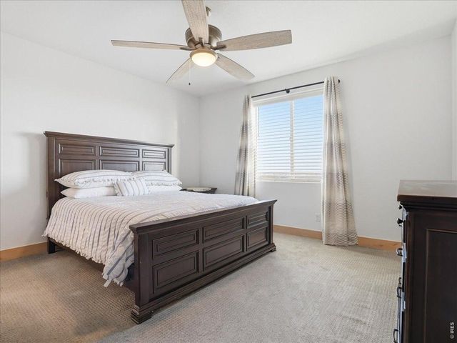 1699 Corby Dr, Windsor, CO 80550