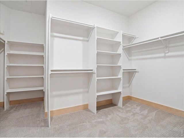 1699 Corby Dr, Windsor, CO 80550